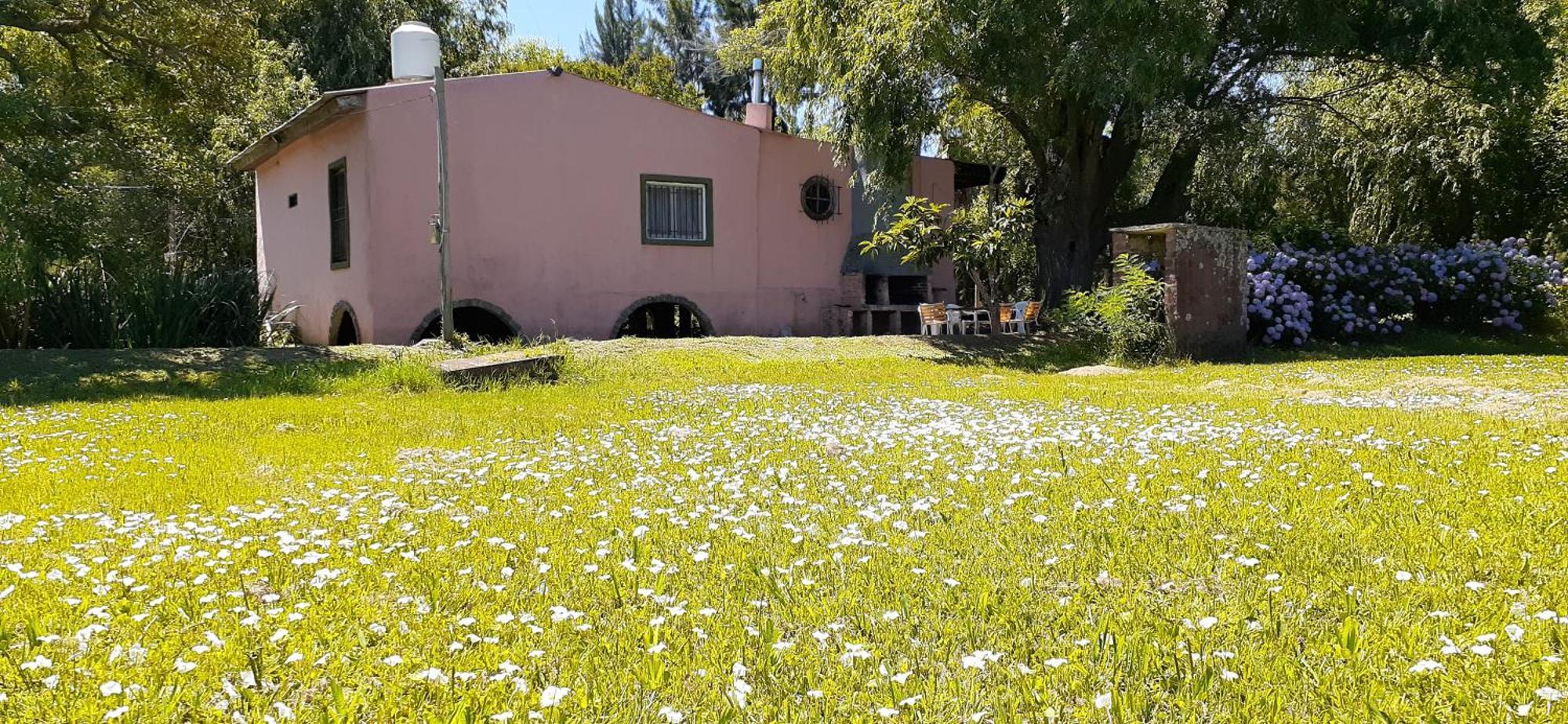 Vila Guitarra Negra Tigre Exteriér fotografie