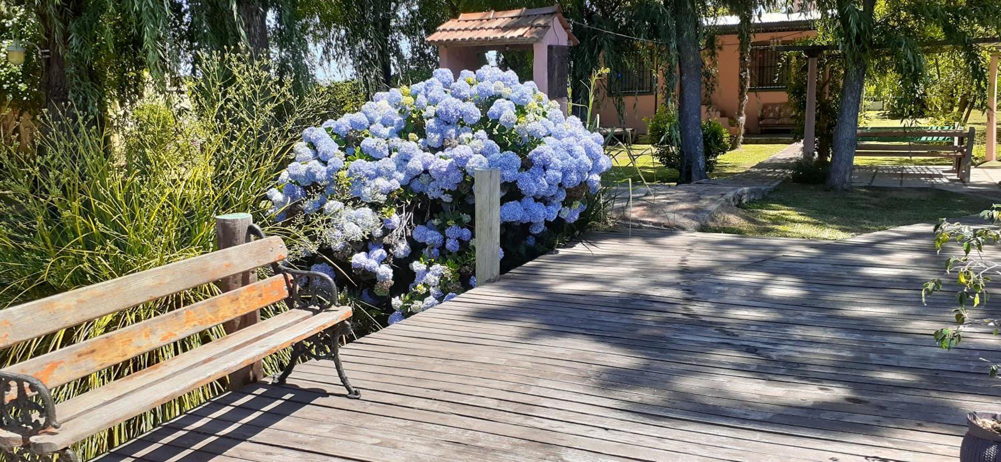 Vila Guitarra Negra Tigre Exteriér fotografie